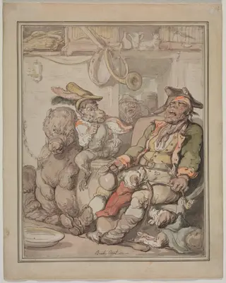 Comparative Anatomy Study, by Thomas Rowlandson, 1815