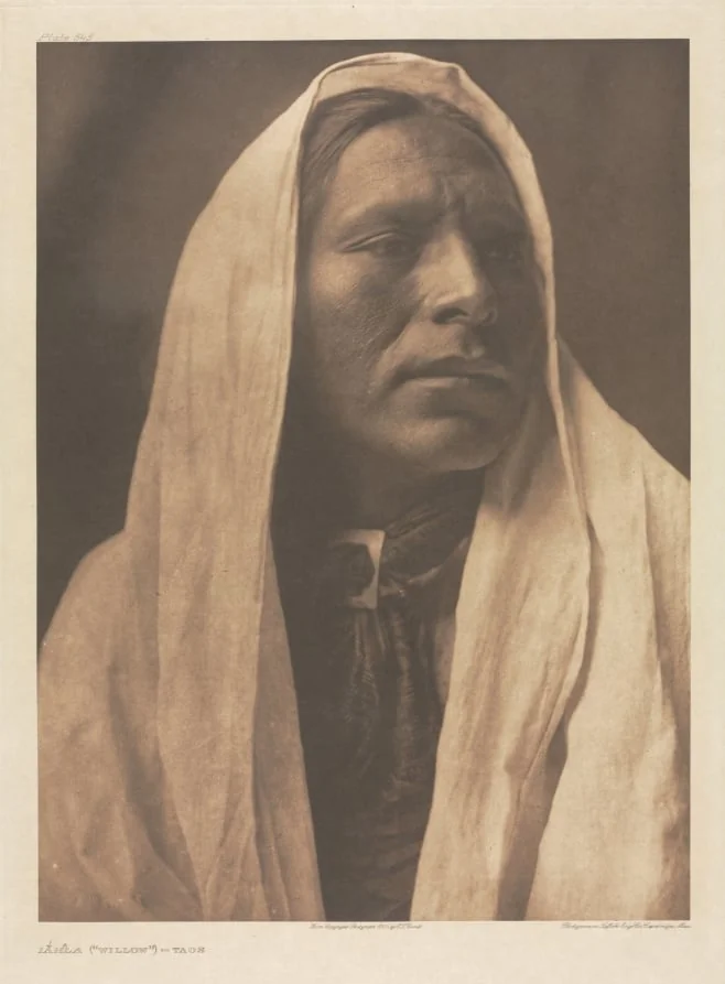 Portfolio XVI, Plate 545: Iahla ("Willow") - Taos, detail