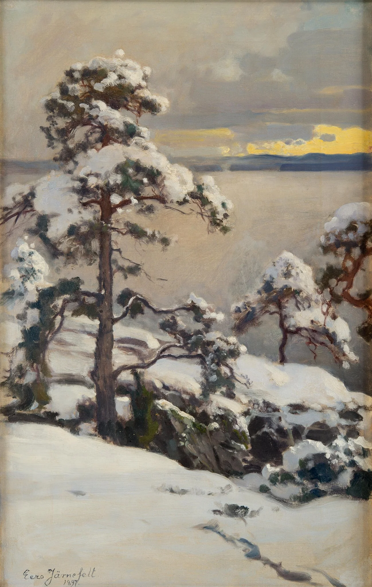 Talvi, detail