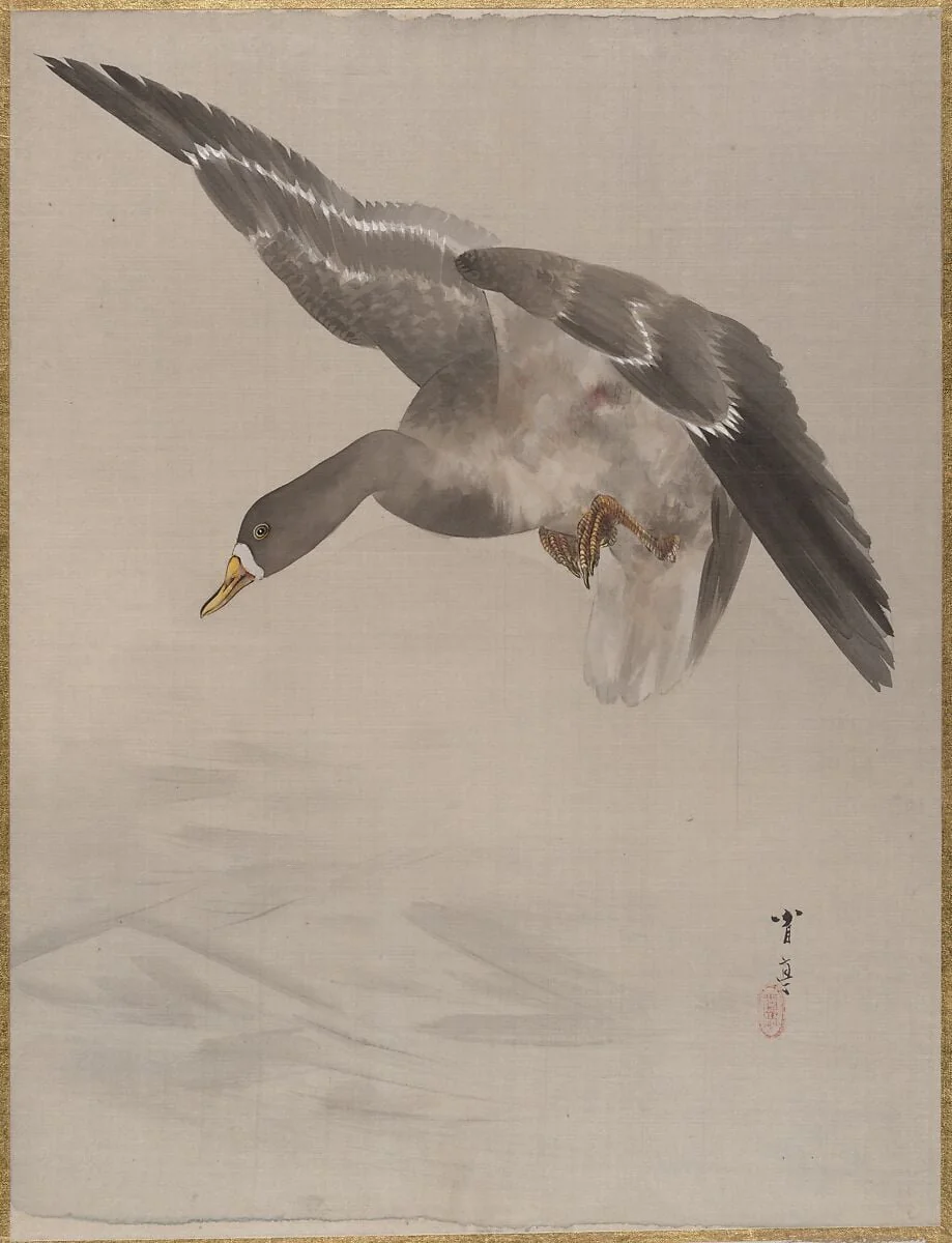 Untitled, detail