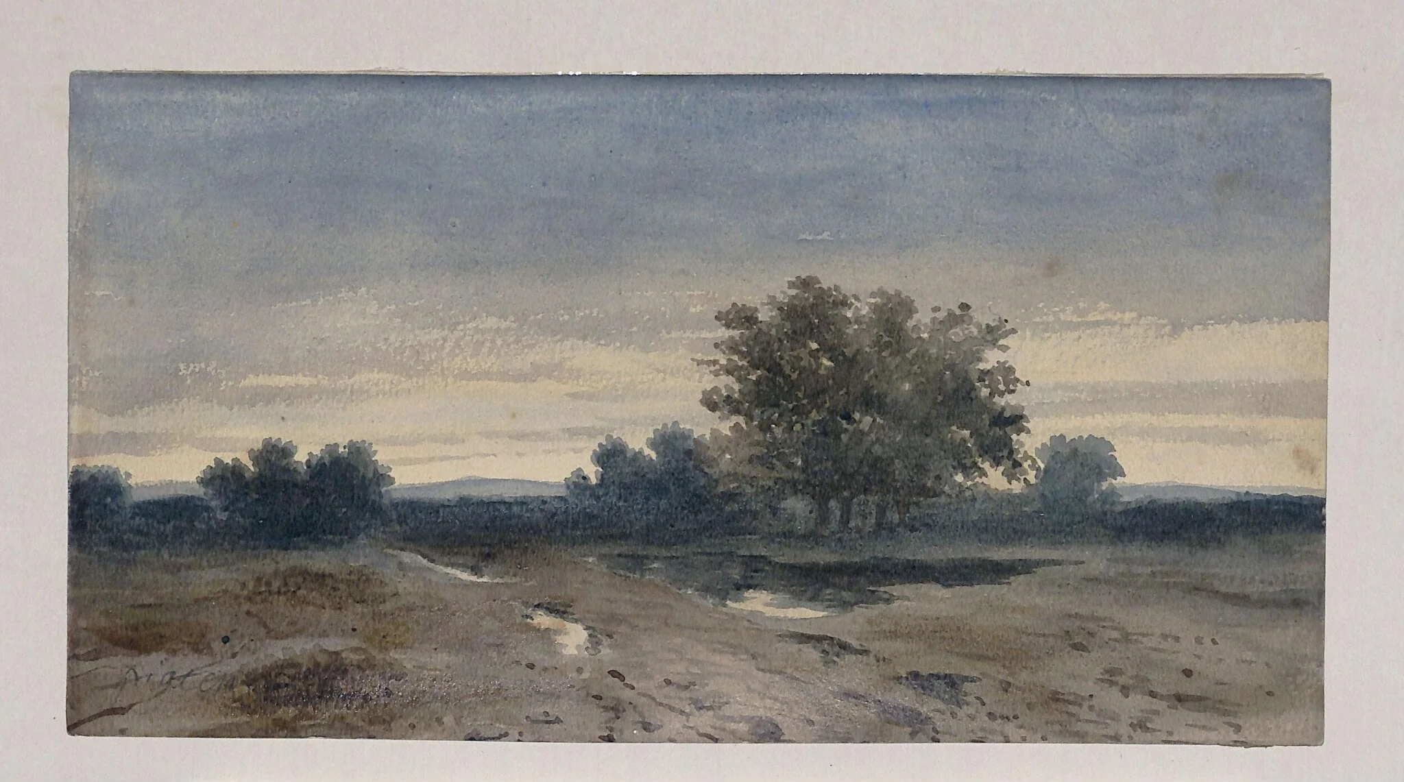 After the rain. Landscape with trees and a pond, detail