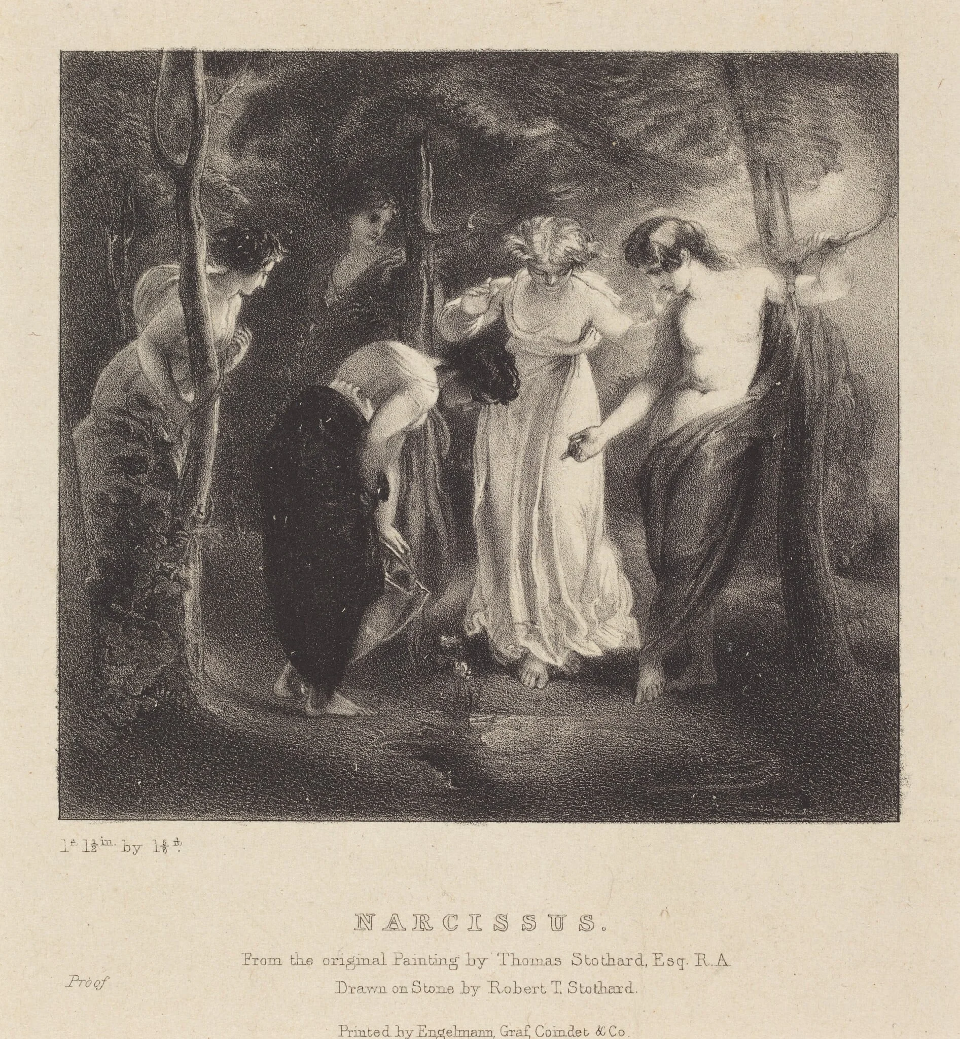 Narcissus, detail