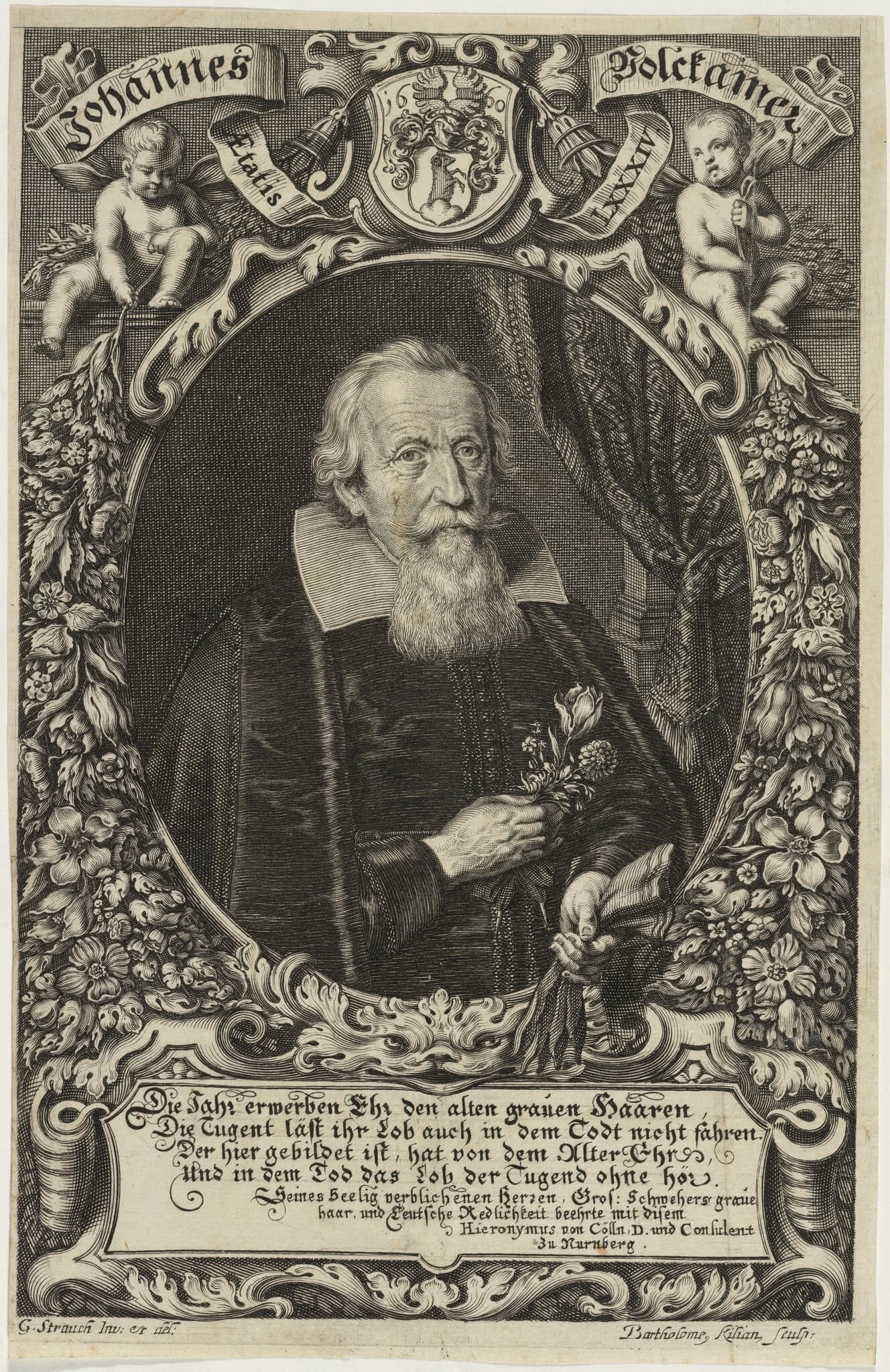 Johann Volckamer, detail