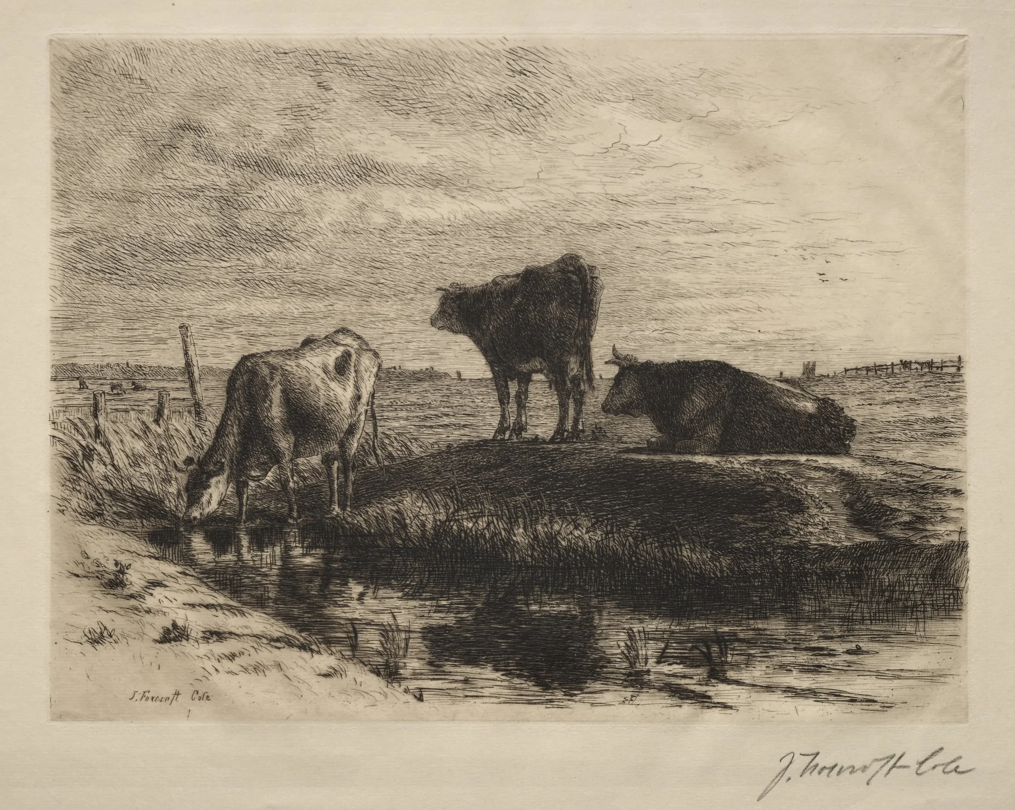 The Three Cows, detail
