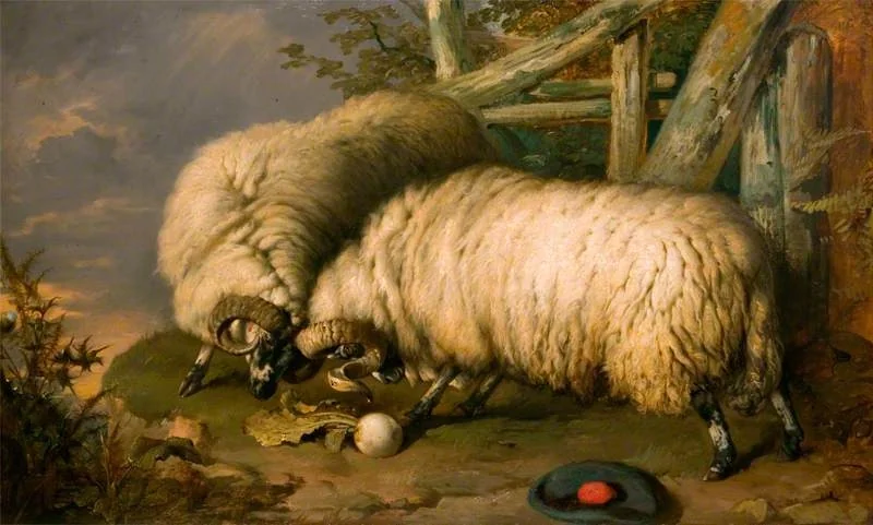 Highland Rams Fighting, detail