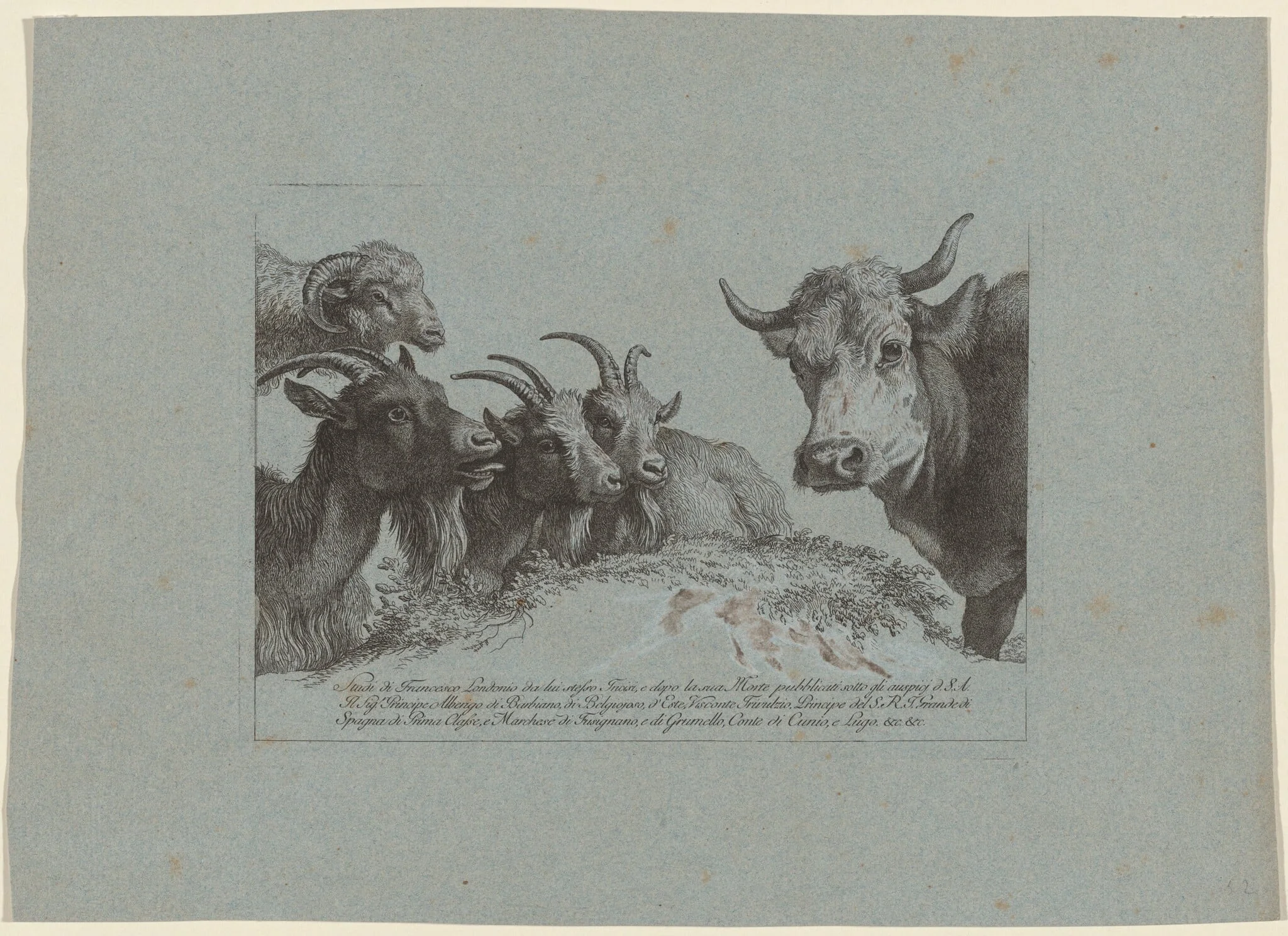 Study of Heads: Three Goats, an Ox, and a Ram, detail