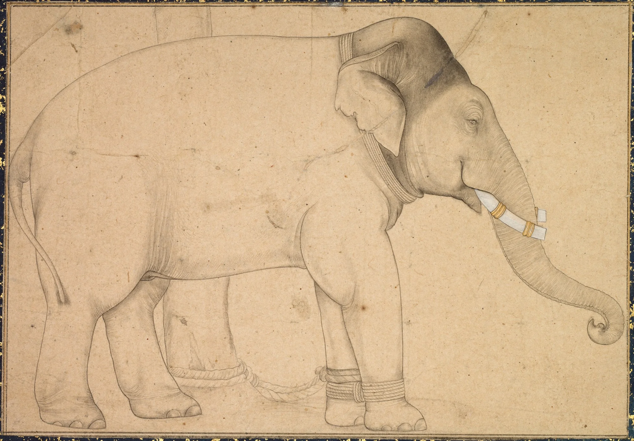 Drawing of an Elephant, detail