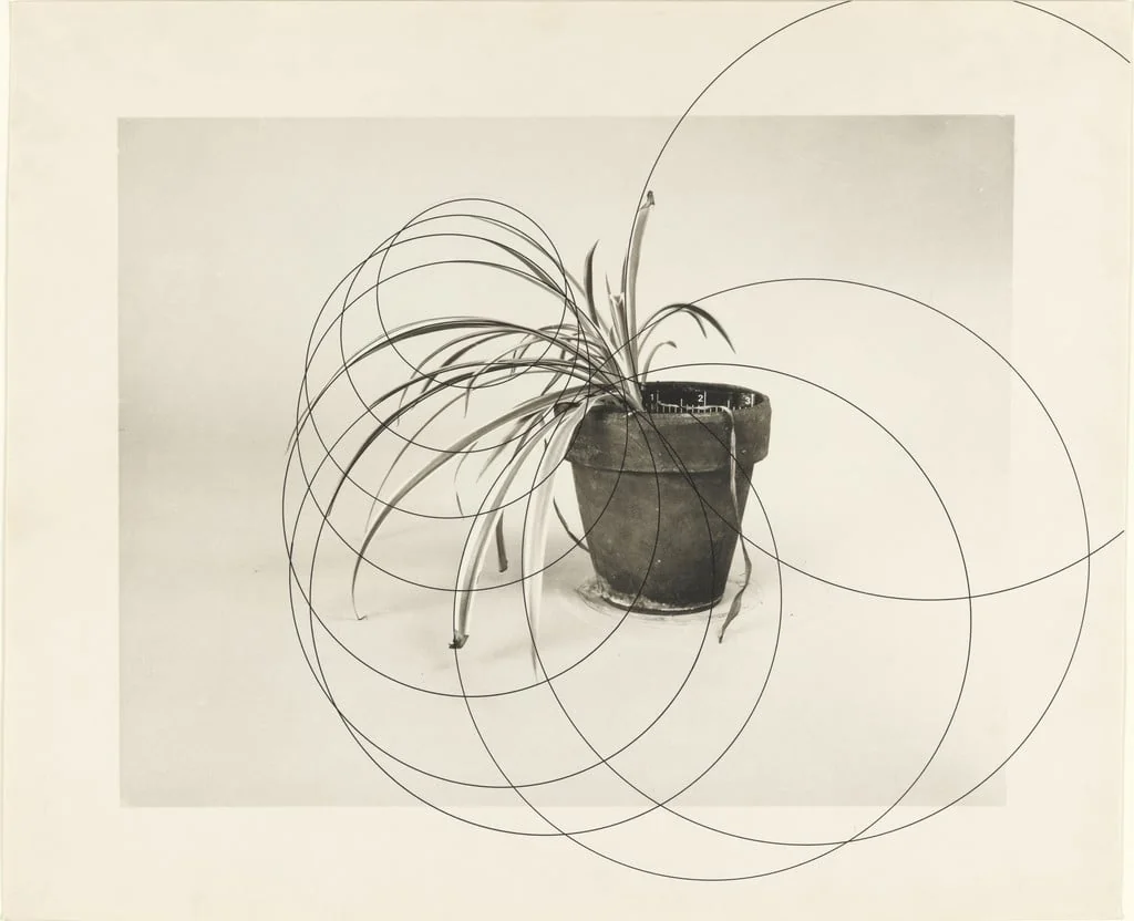 Untitled, detail