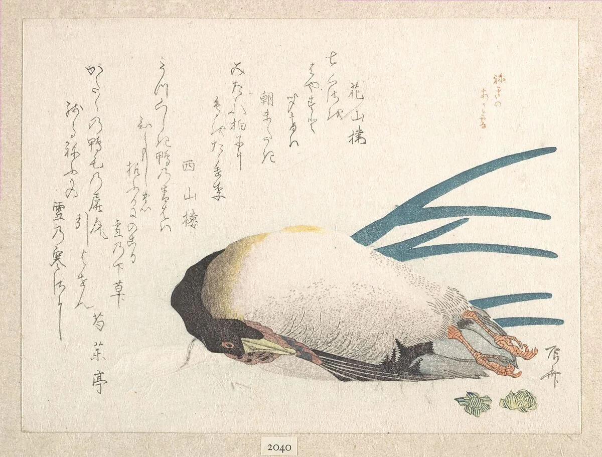 摺物帖 『春雨集』 鴨と葱|Spring Rain Collection (Harusame shū), vol. 1: Duck and Scallions, detail