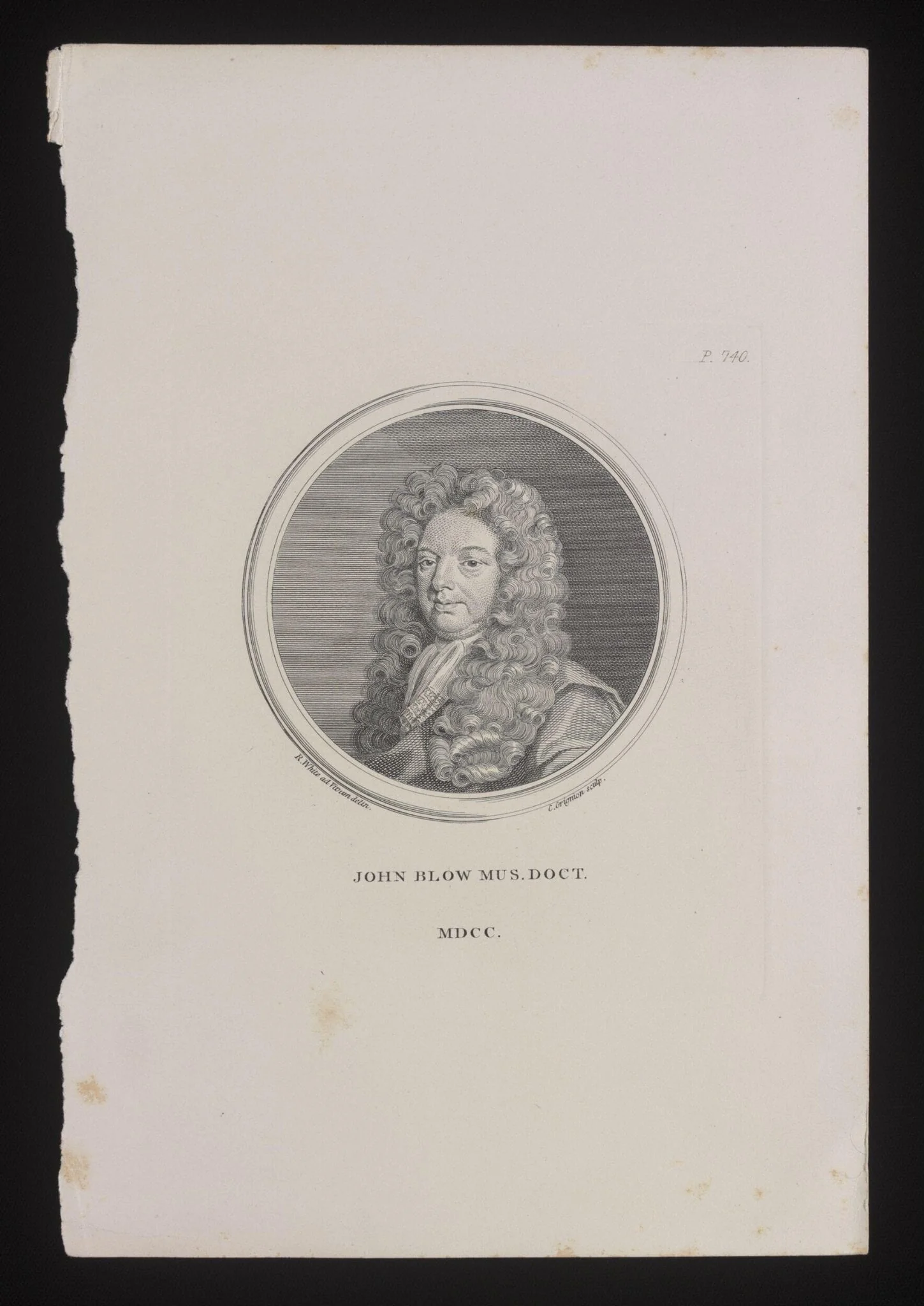 H Beard Print Collection, detail