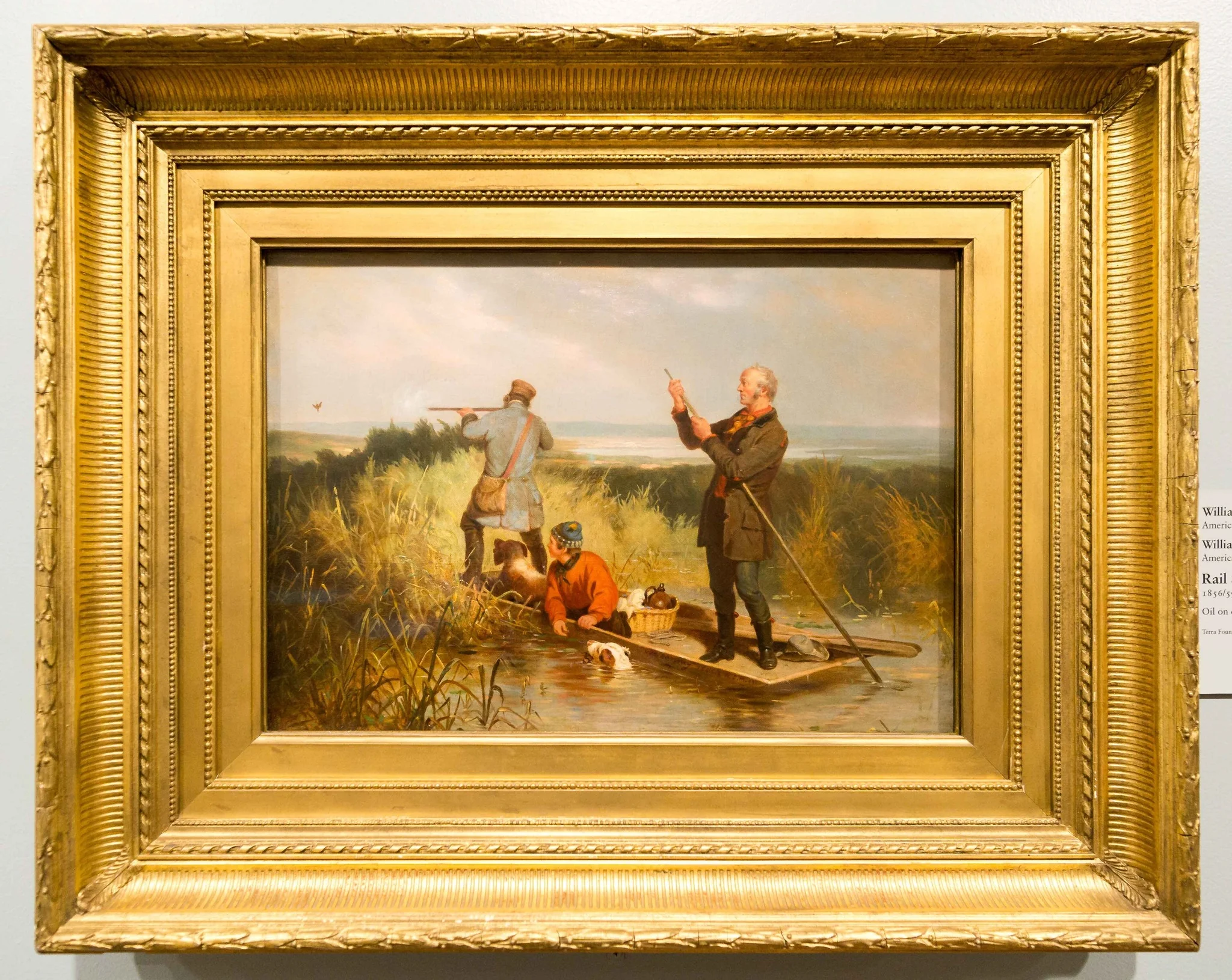 Rail Shooting, detail