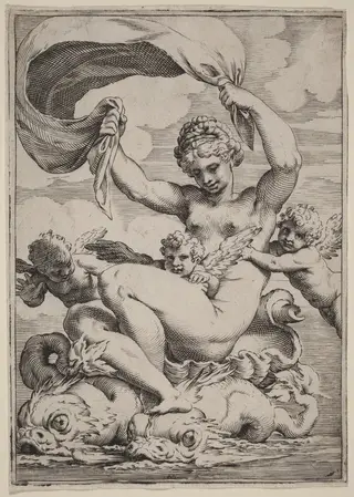 Venus or Galatea Supported by Dolphins, by Agostino Carracci, ink, 1592