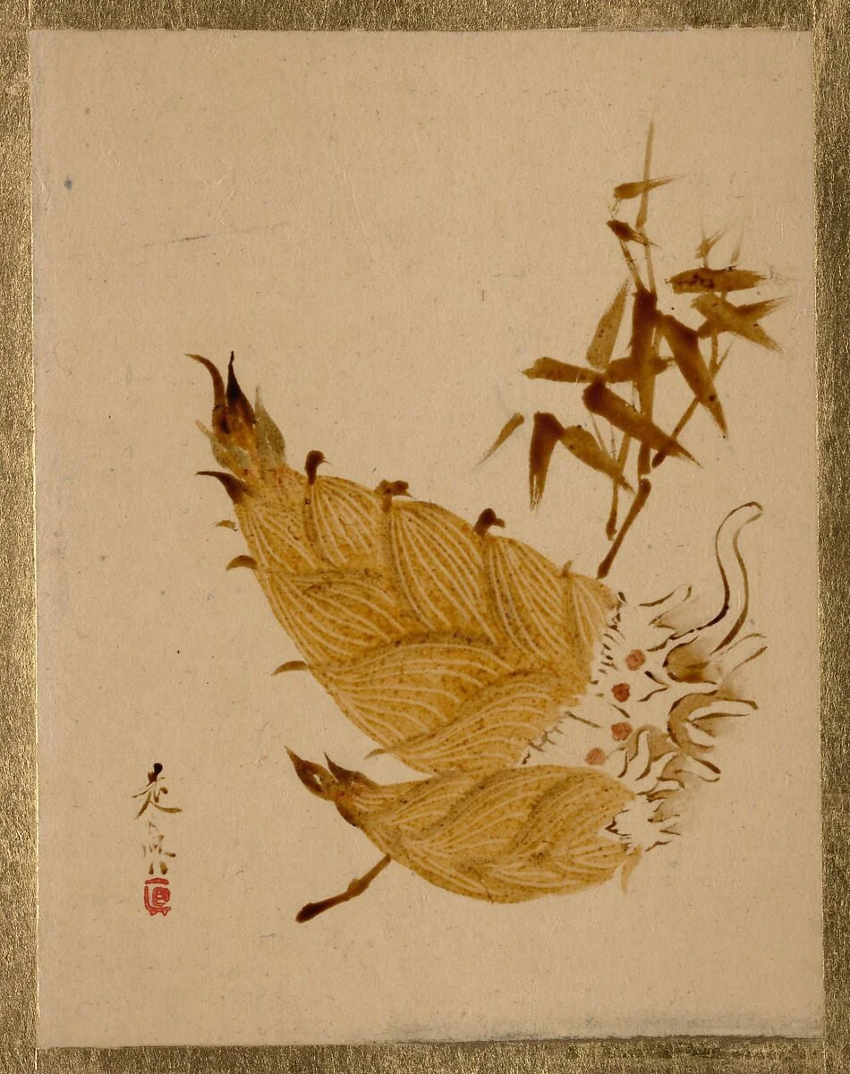 柴田是真筆筍図|Bamboo Shoots, detail