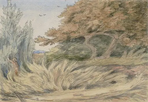 Rank Grass - Epping Forest, by Selwyn Image, watercolor, 1903
