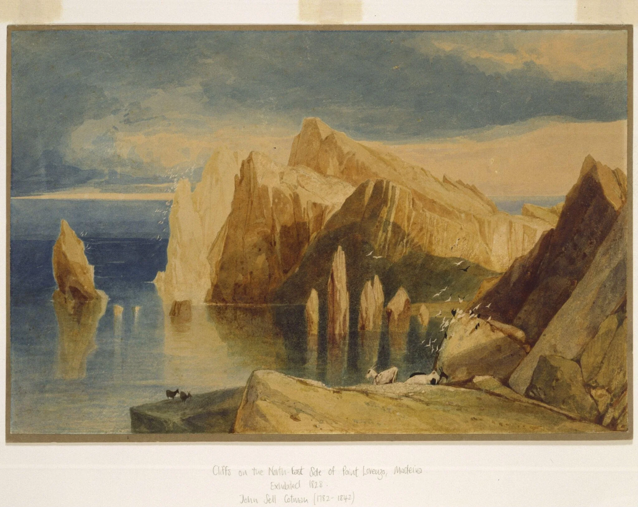 Cliffs on the North-East side of Point Lorenzo, Madeira, detail