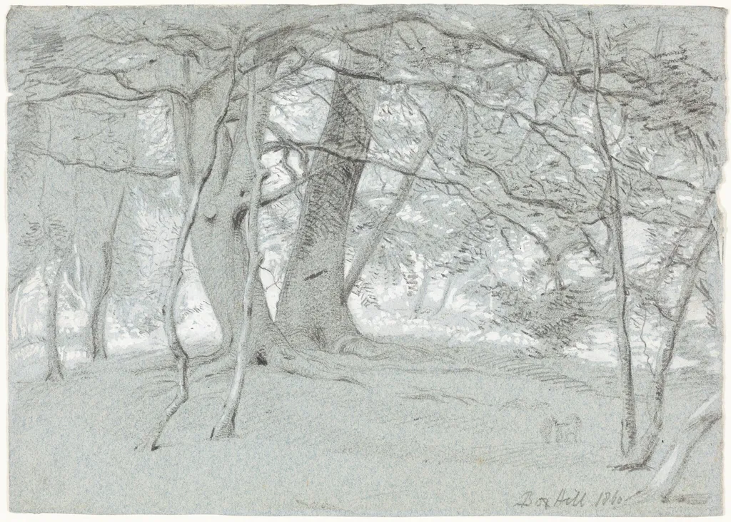Trees at Box Hill, by William Blake, Sir Richmond, chalk, 1860