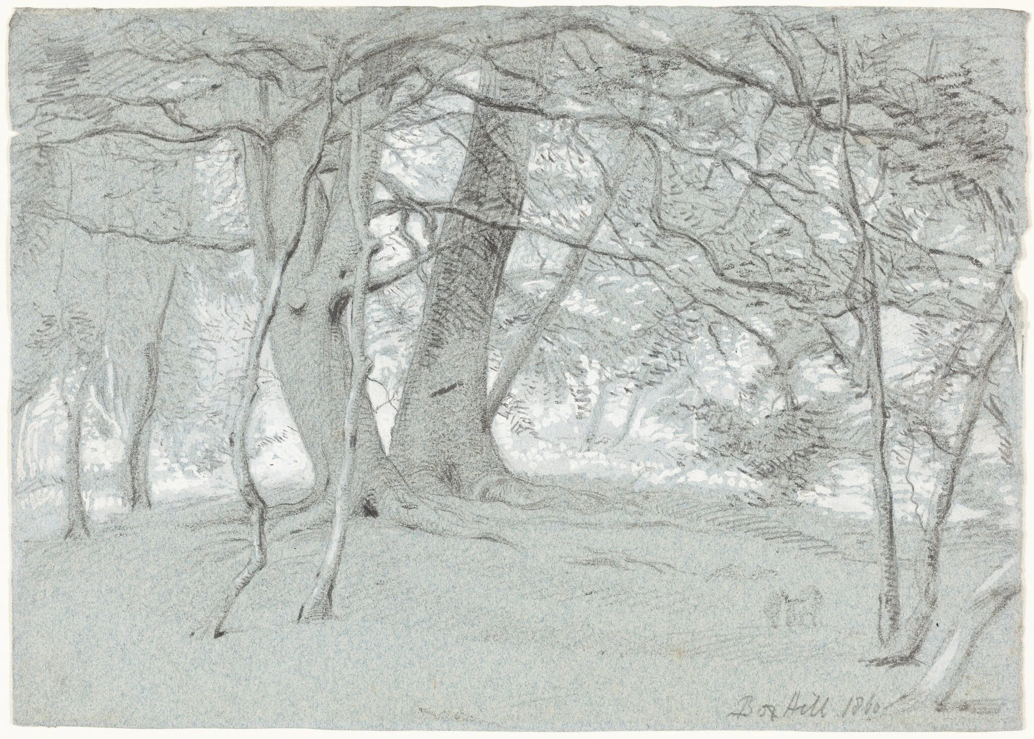 Trees at Box Hill, detail