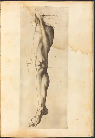 Print from Drawing Book, by Luca Ciamberlano, ink, 1615