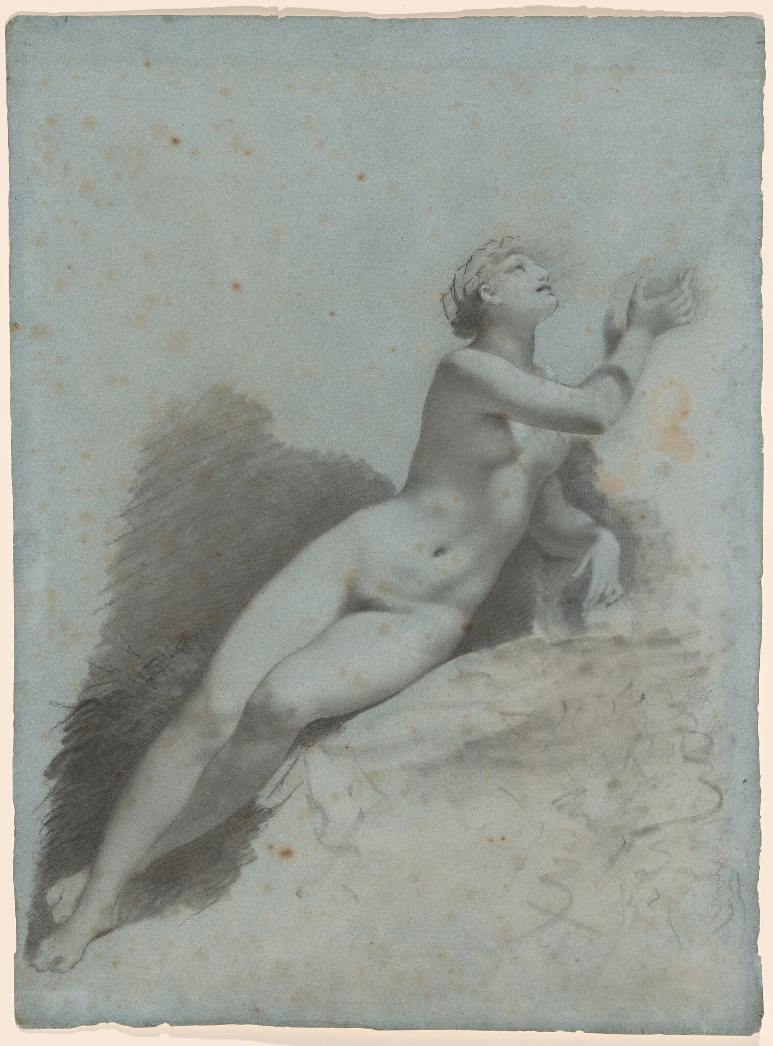 Venus, detail