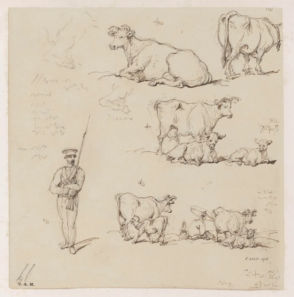 Drawings of cattle and a soldier, by George Chinnery, 15
