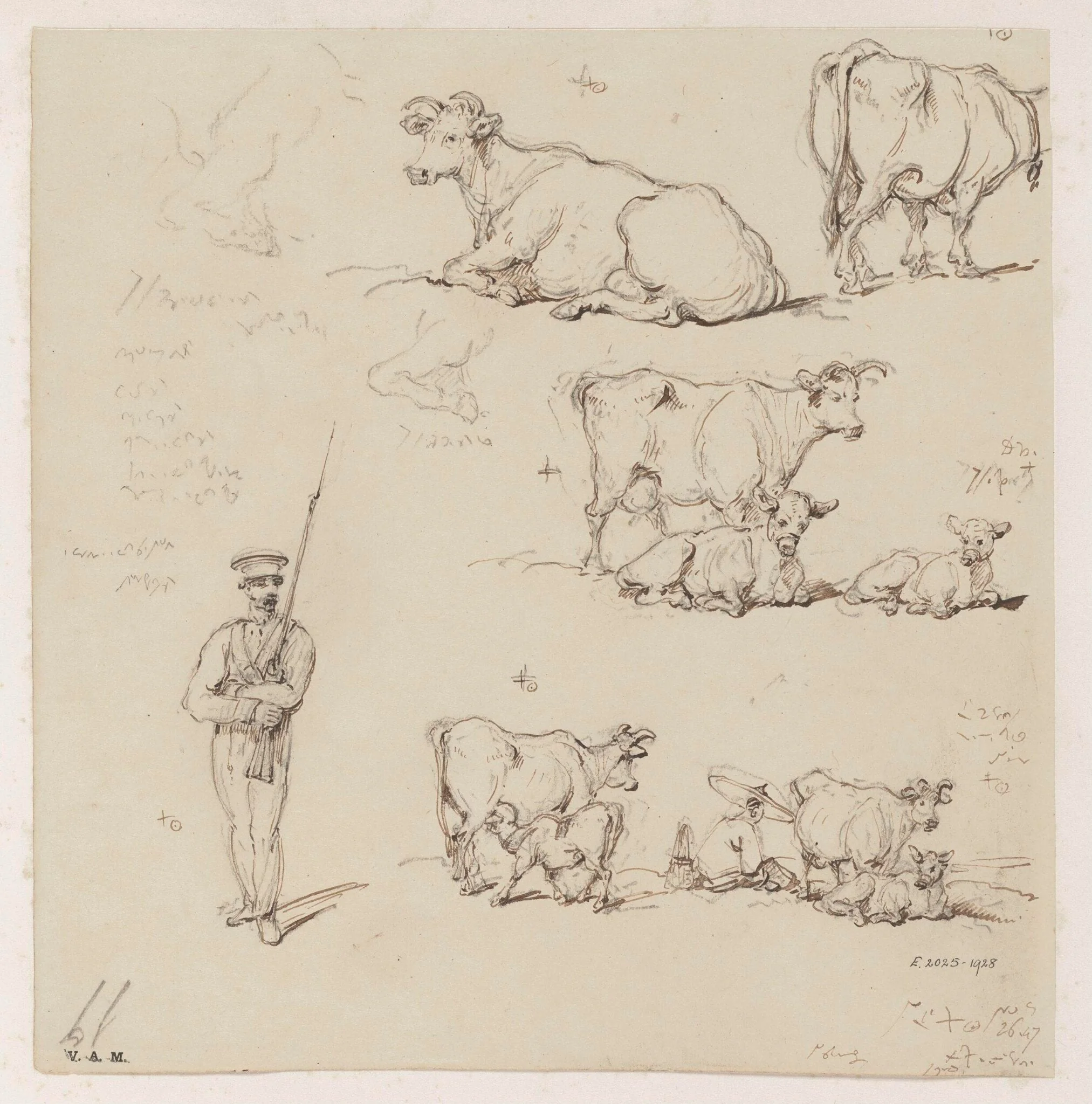 Drawings of cattle and a soldier, detail