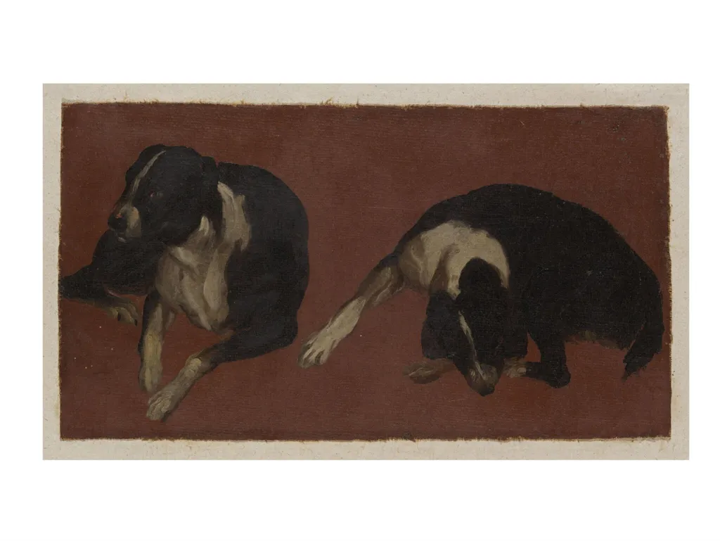 Two Studies of a Dog, by Luca Carlevarijs, oil, 1700