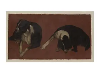 Two Studies of a Dog, by Luca Carlevarijs, oil, 1700