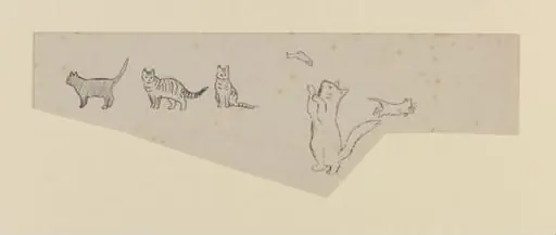 A cat playing with a fish, and other drawings of cats, by Beatrix Potter