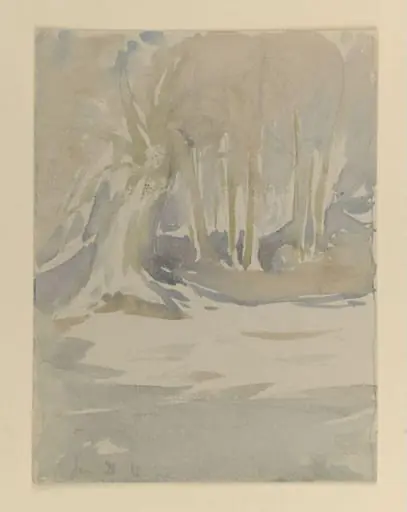 A clearing under snow, by Beatrix Potter