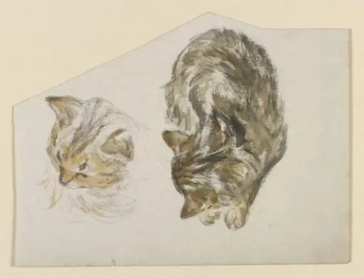 A kitten sleeping; head of a kitten, by Beatrix Potter
