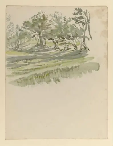 A meadow flanked by a line of trees, by Beatrix Potter