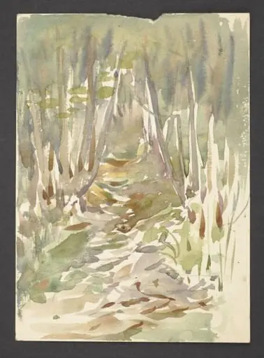 A path through a woodland in autumn, by Beatrix Potter