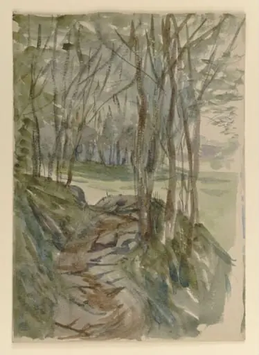 A path through woodland, by Beatrix Potter