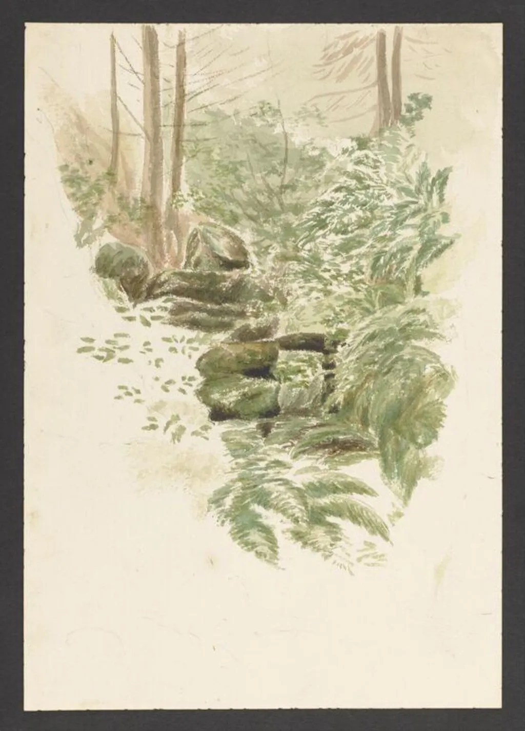 A stream running through a forest, by Beatrix Potter, watercolor, 1902