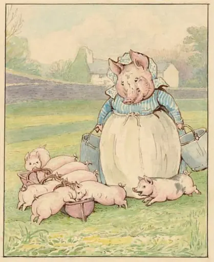 Aunt Pettitoes feeding her piglets, by Beatrix Potter
