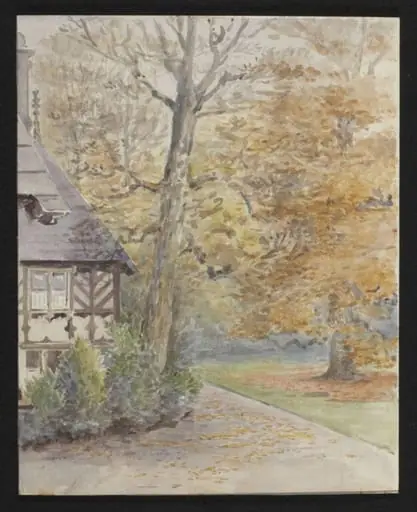 Falling Leaves, by Beatrix Potter
