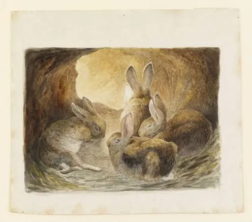 Four rabbits in a burrow, by Beatrix Potter