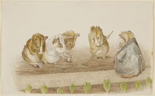 Guinea pigs gardening, by Beatrix Potter