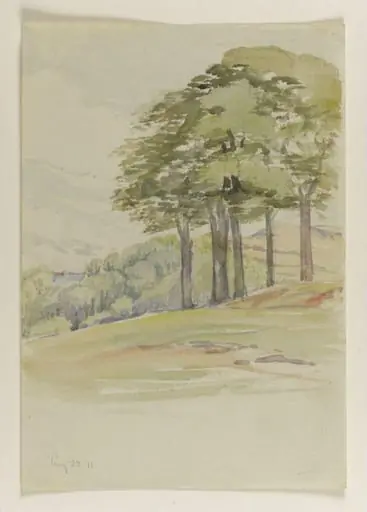 Hillside with five trees, by Beatrix Potter
