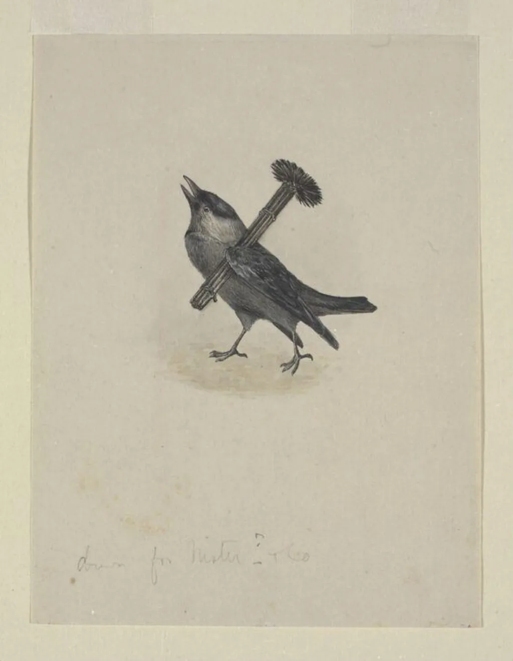 Jackdaw Sweep, by Beatrix Potter, watercolor, 30