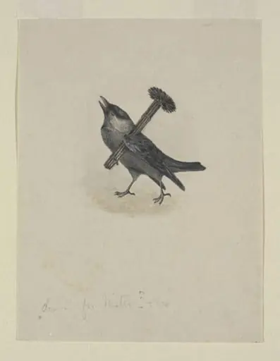 Jackdaw Sweep, by Beatrix Potter