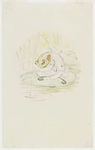 Jeremy Fisher sitting fishing on a waterlily leaf: preparatory drawing for The tale of Mr. Jeremy Fisher, by Beatrix Potter
