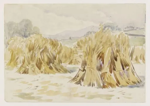 Sheaves of corn in a field, Sawrey, by Beatrix Potter