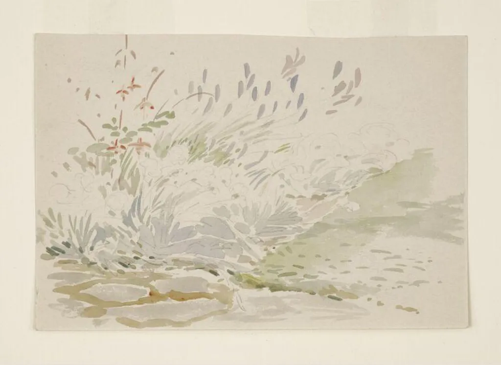 Sketch of a flower bed in the garden at Gwaynynog, by Beatrix Potter, watercolor, 1909
