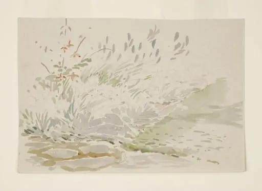 Sketch of a flower bed in the garden at Gwaynynog, by Beatrix Potter
