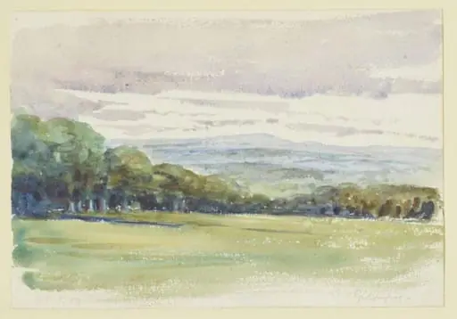 Sketch of a wooded landscape viewed from Gwaynynog, Denbigh, by Beatrix Potter