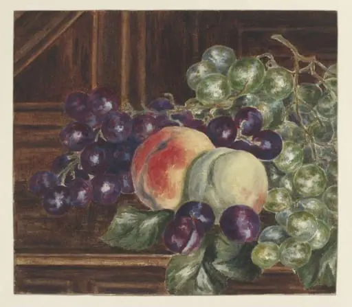 Still life of grapes and peaches on a sideboard, by Beatrix Potter