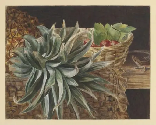 Still life study of a pineapple, basket of cherries and lizard, by Beatrix Potter