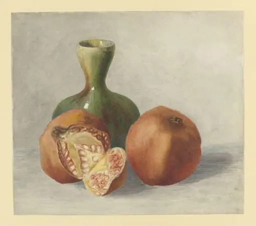 Still life study of pomegranates and a vase, by Beatrix Potter