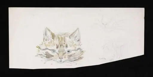 Studies of a cat, by Beatrix Potter